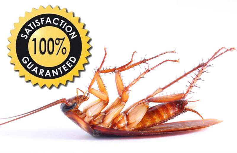 Agricultural Pest Management